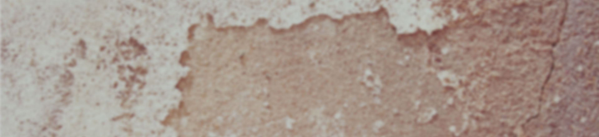 电话轰炸免费在线网站